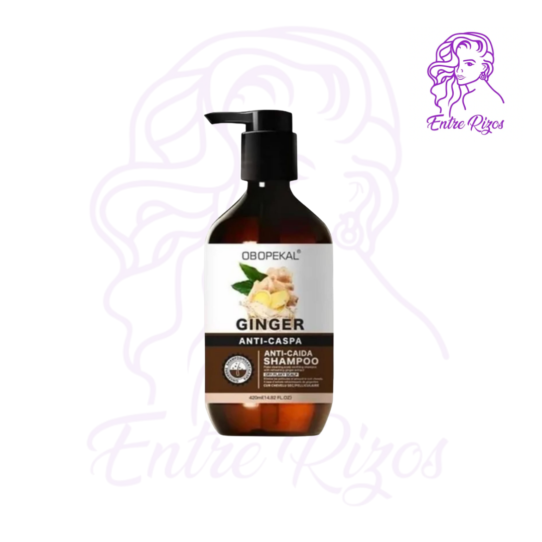 Shampoo Ginger 420ml – Obopekal