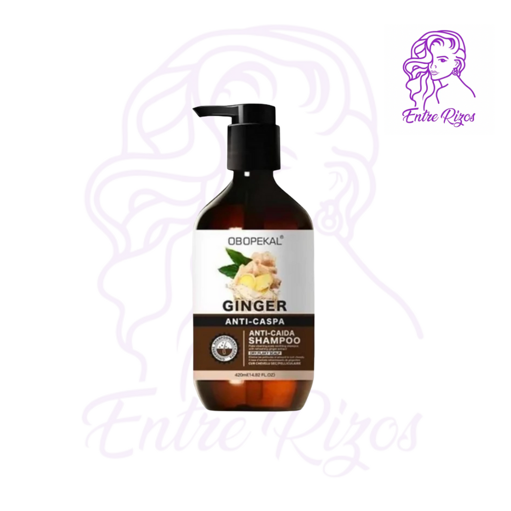 Shampoo Ginger 420ml – Obopekal