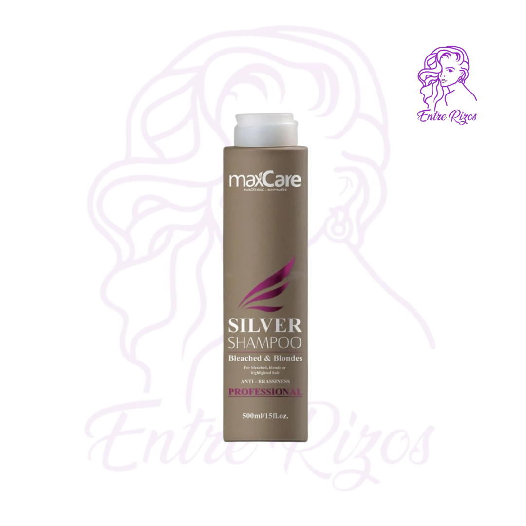 Shampoo Matizador Silver (500ml)